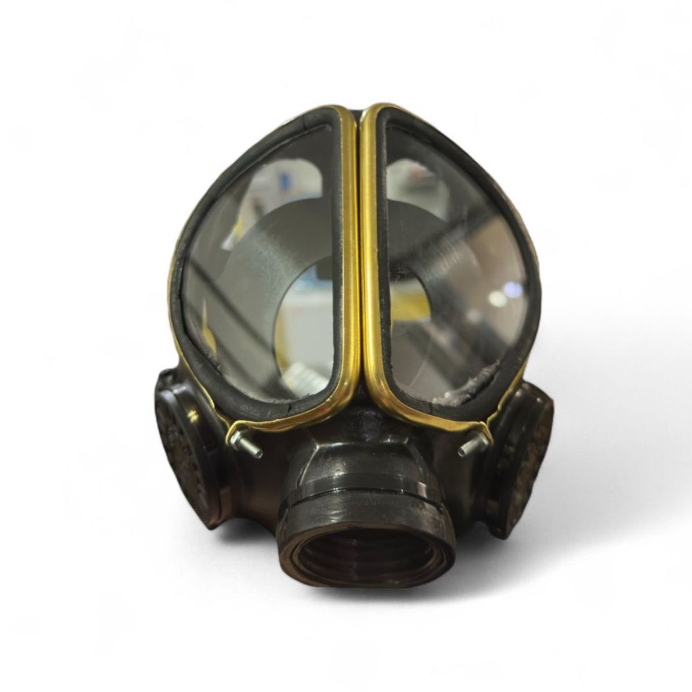 Segurind-mascara-seif-avispa-350-frente