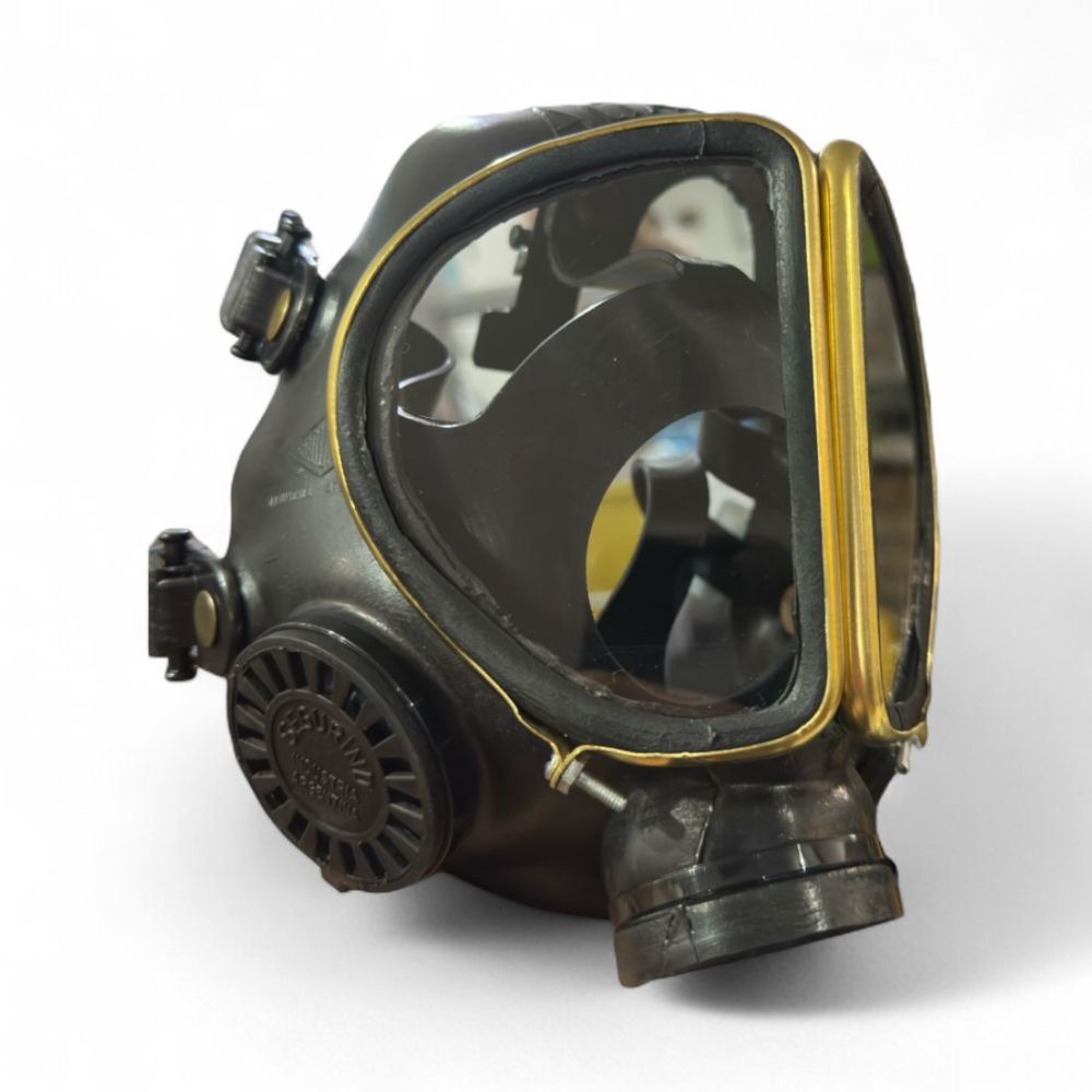 Segurind-mascara-seif-avispa-350-perfil