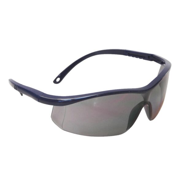 Anteojo Libus Argon Elite Gris HC